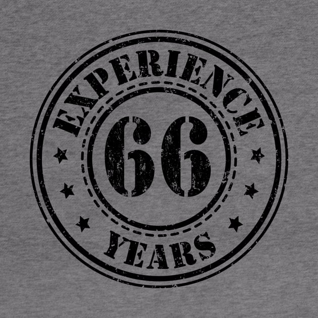 Gift ideas for the 66th birthday experience by HBfunshirts